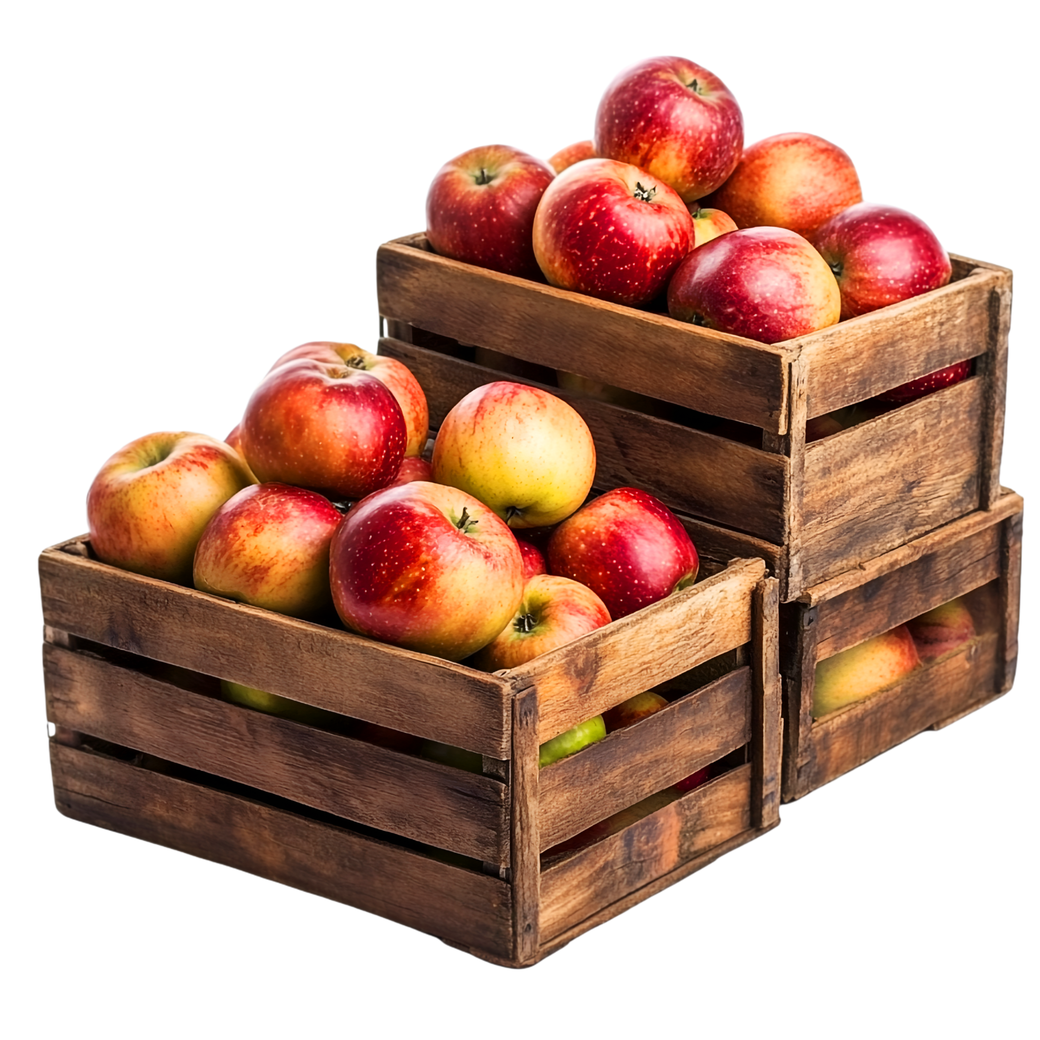 Fresh Premium Apples